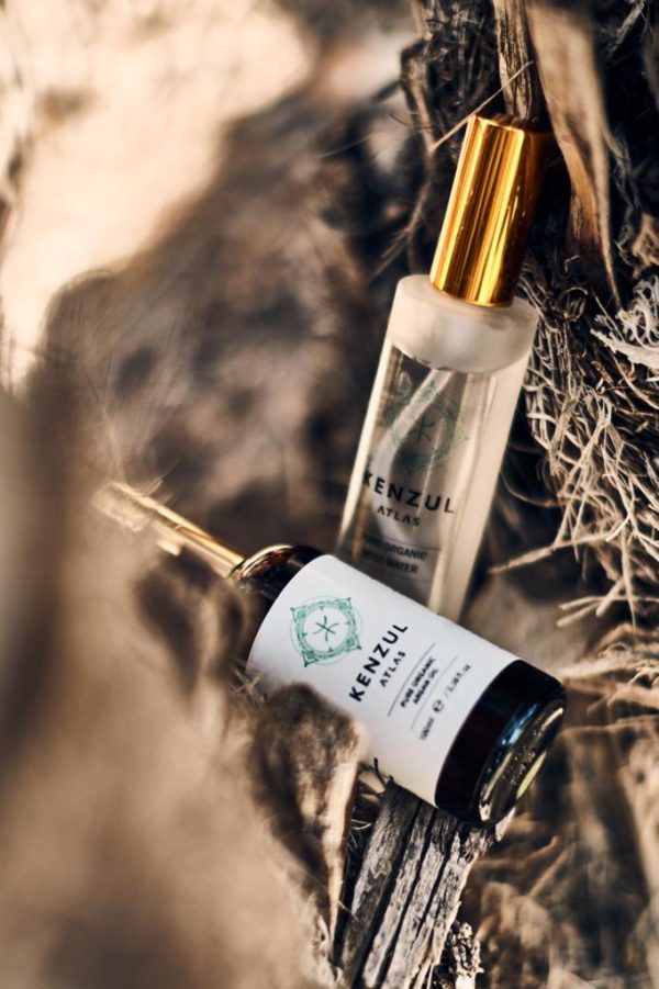 Argan oil bottles resting on weathered argan wood